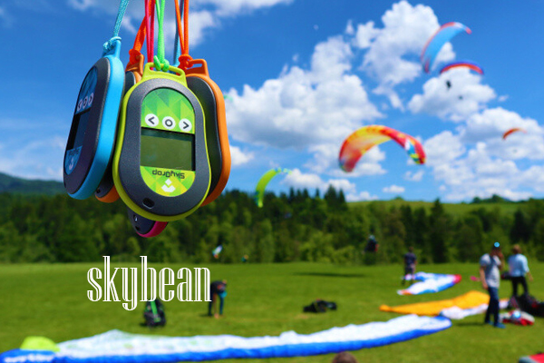 Раздел каталога ПАРАПЛАН